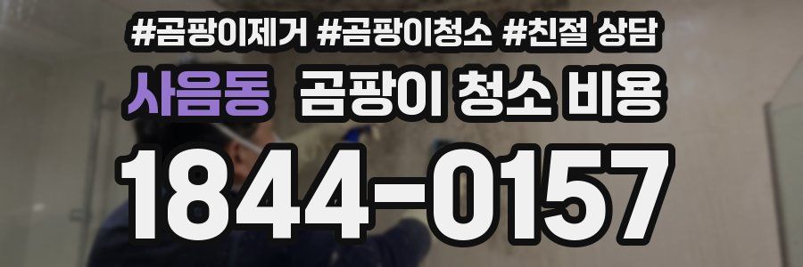 사음동 곰팡이 청소 비용