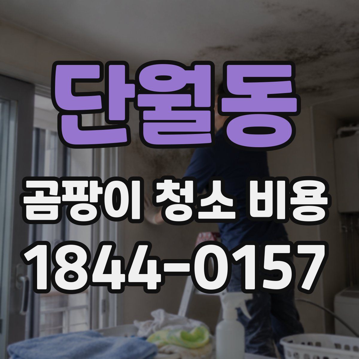 단월동 곰팡이 청소 비용