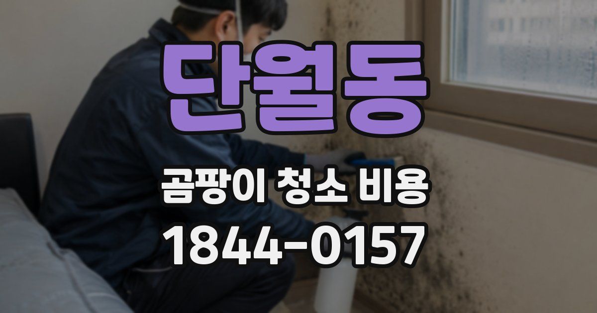 단월동 곰팡이 청소 비용
