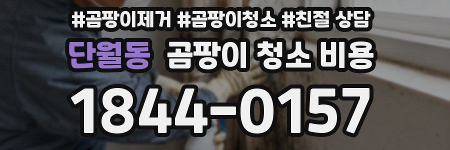 단월동 곰팡이 청소 비용