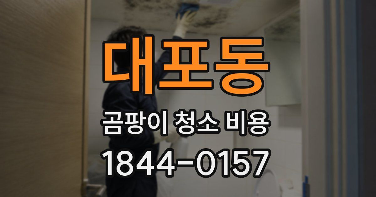 대포동 곰팡이 청소 비용