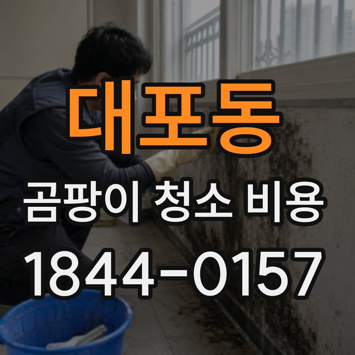 대포동 곰팡이 청소 비용
