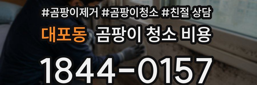 대포동 곰팡이 청소 비용