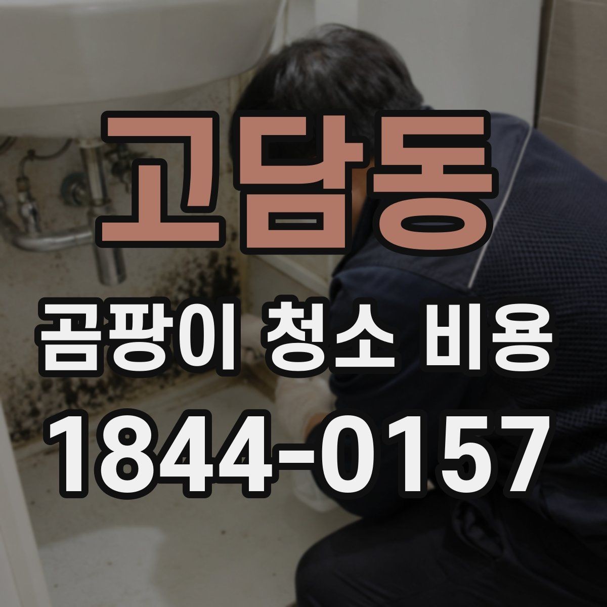 고담동 곰팡이 청소 비용 산출에 영향을 주는 오염 원인