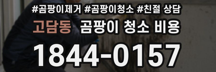 고담동 곰팡이 청소 비용