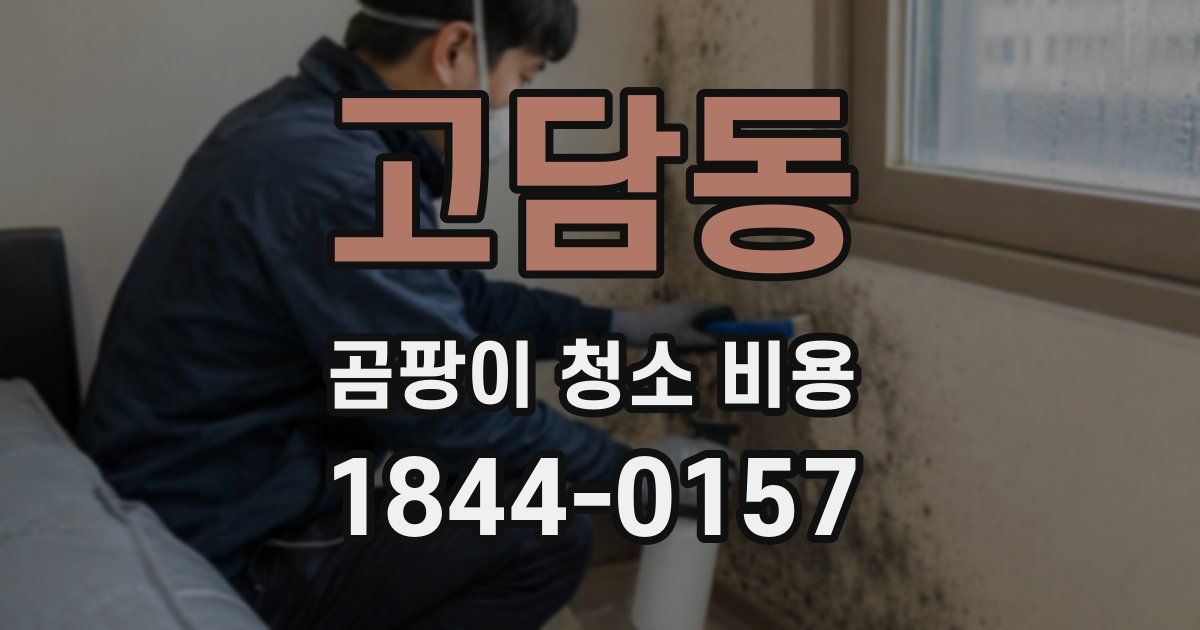 고담동 곰팡이 청소 비용