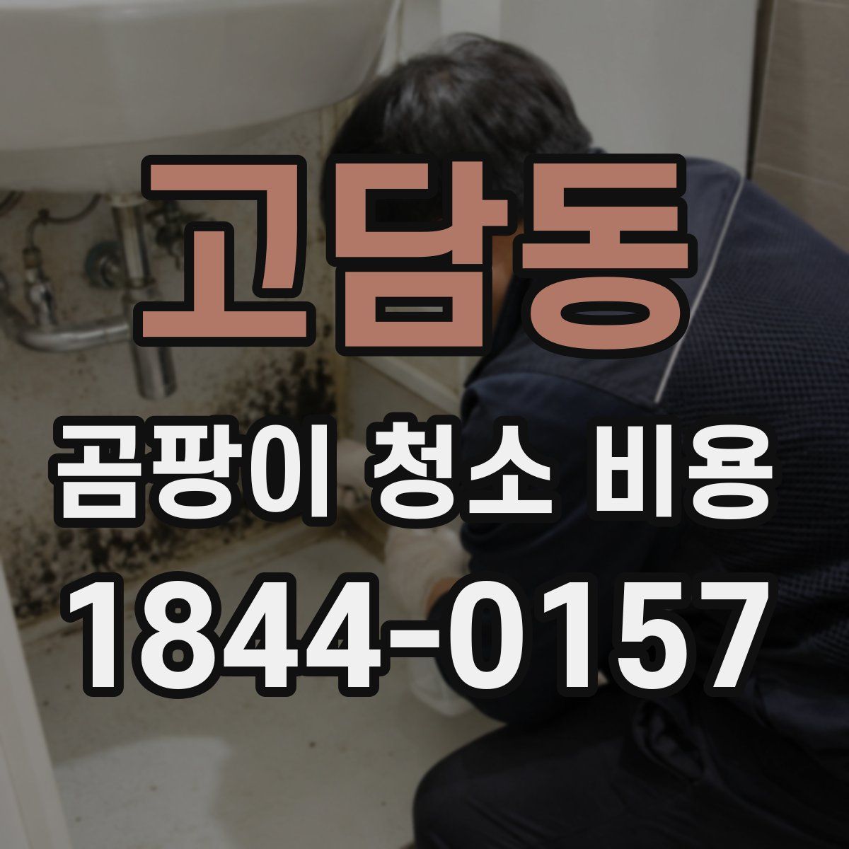 고담동 곰팡이 청소 비용