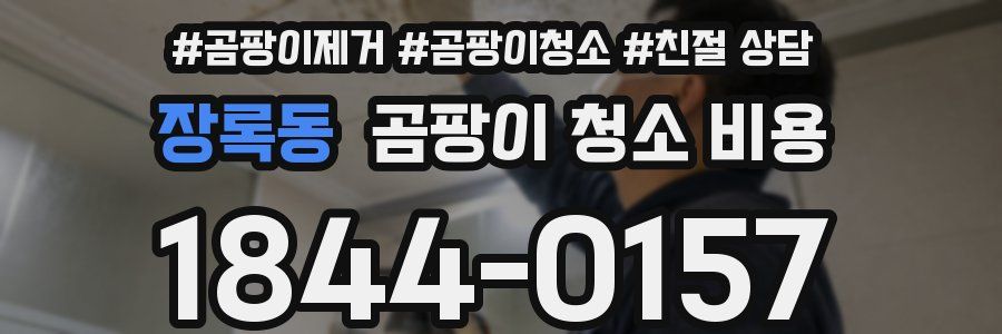 장록동 곰팡이 청소 비용