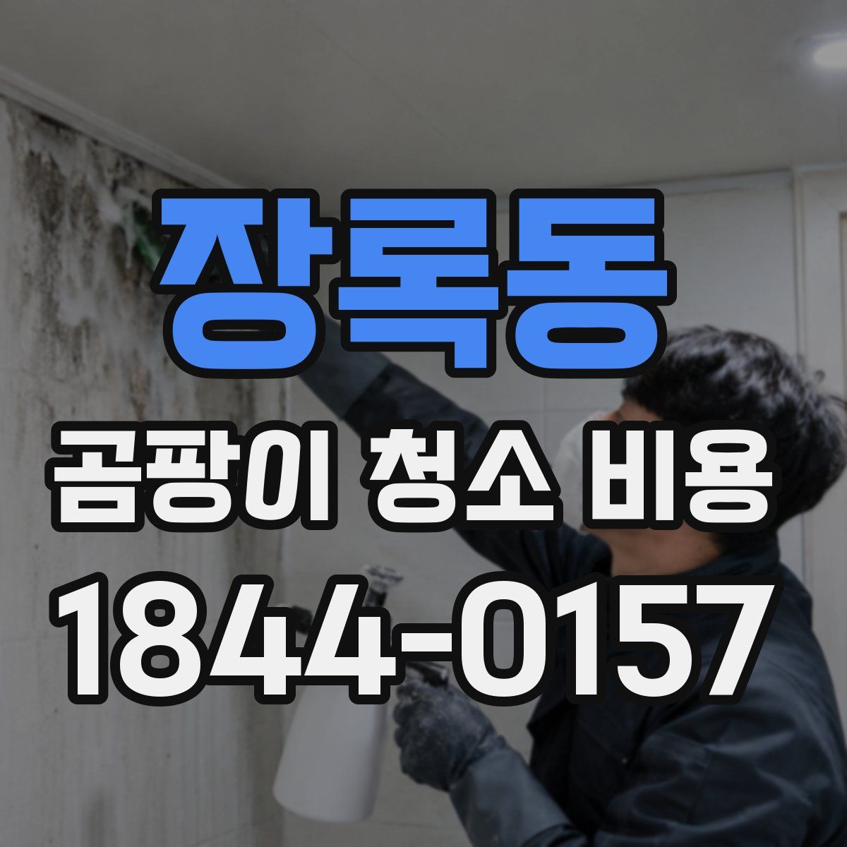 장록동 곰팡이 청소 비용