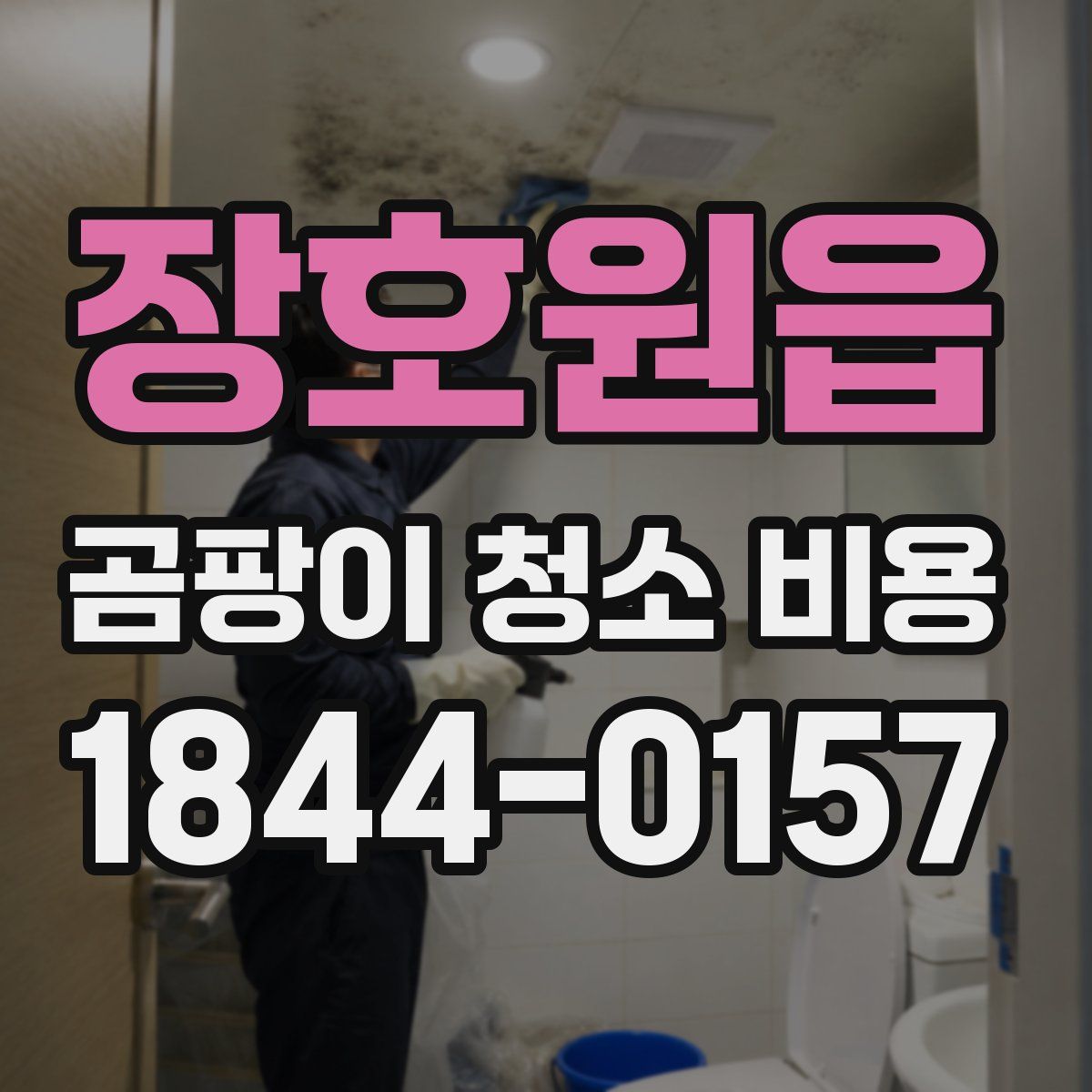 장호원읍 곰팡이 청소 비용