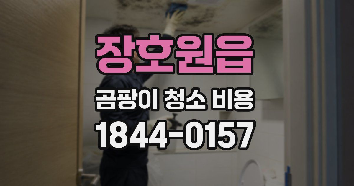 장호원읍 곰팡이 청소 비용