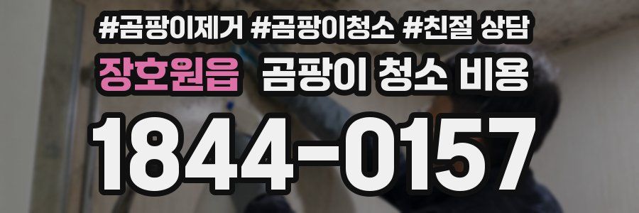 장호원읍 곰팡이 청소 비용