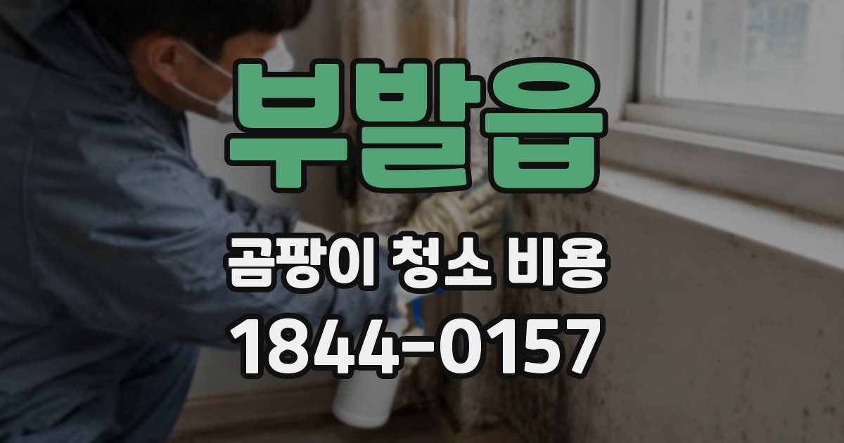 부발읍 곰팡이 청소 비용