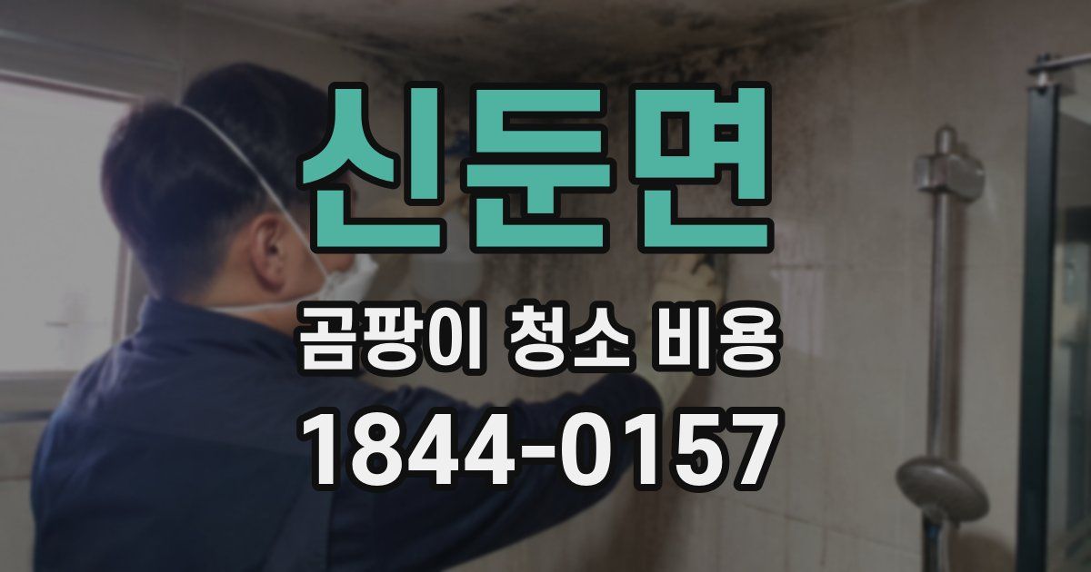 신둔면 곰팡이 청소 비용