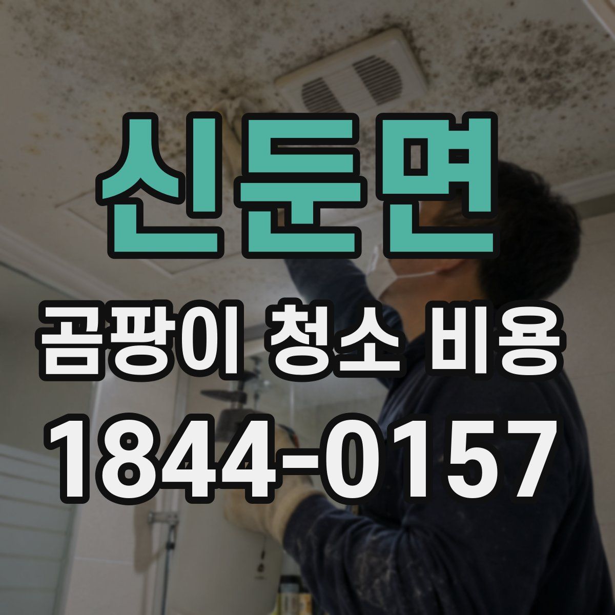 신둔면 곰팡이 청소 비용
