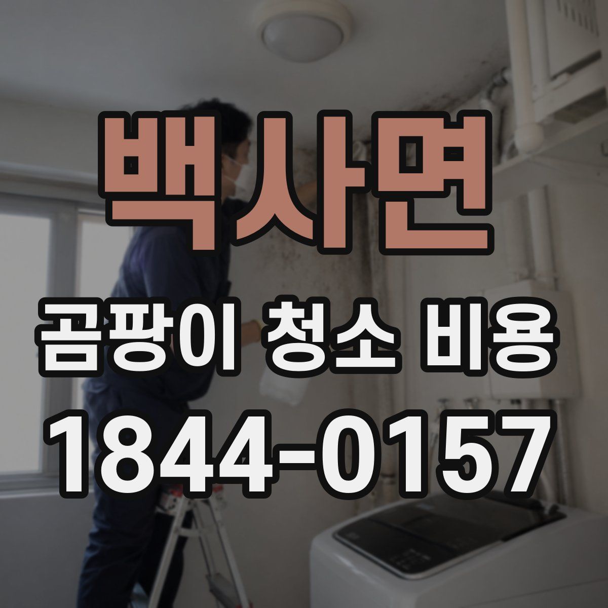 백사면 곰팡이 청소 비용
