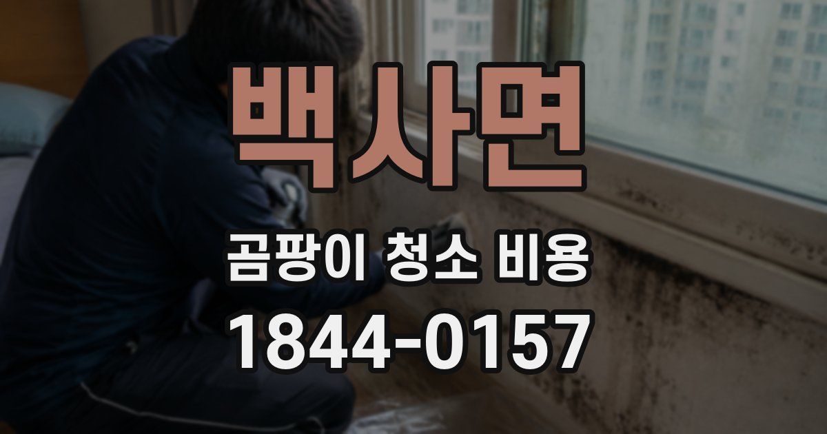 백사면 곰팡이 청소 비용