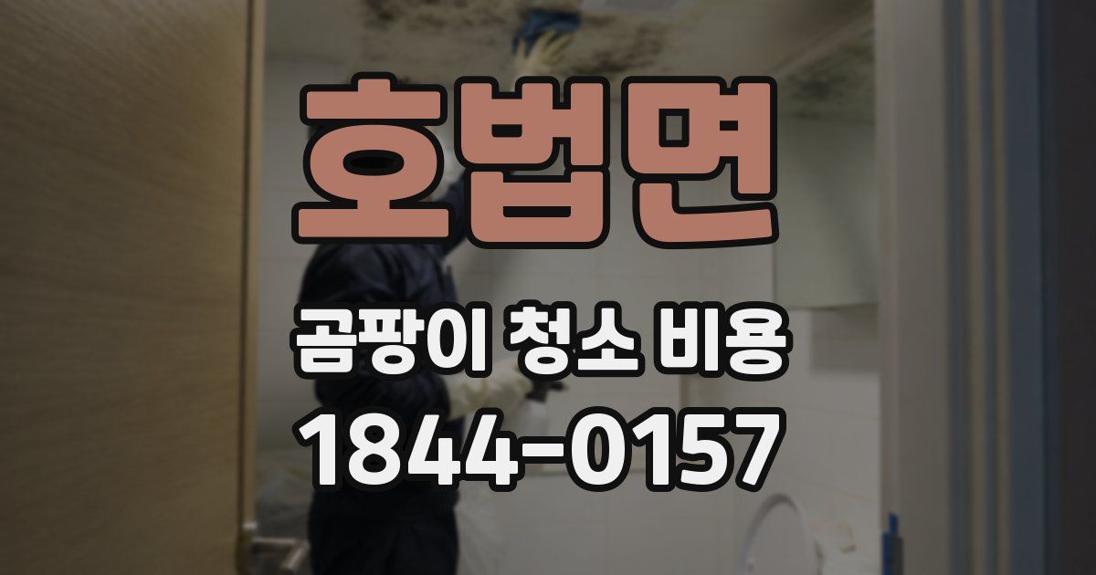 호법면 곰팡이 청소 비용