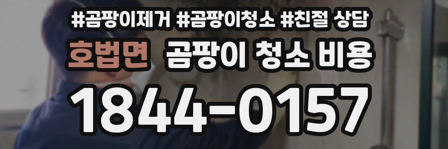 호법면 곰팡이 청소 비용