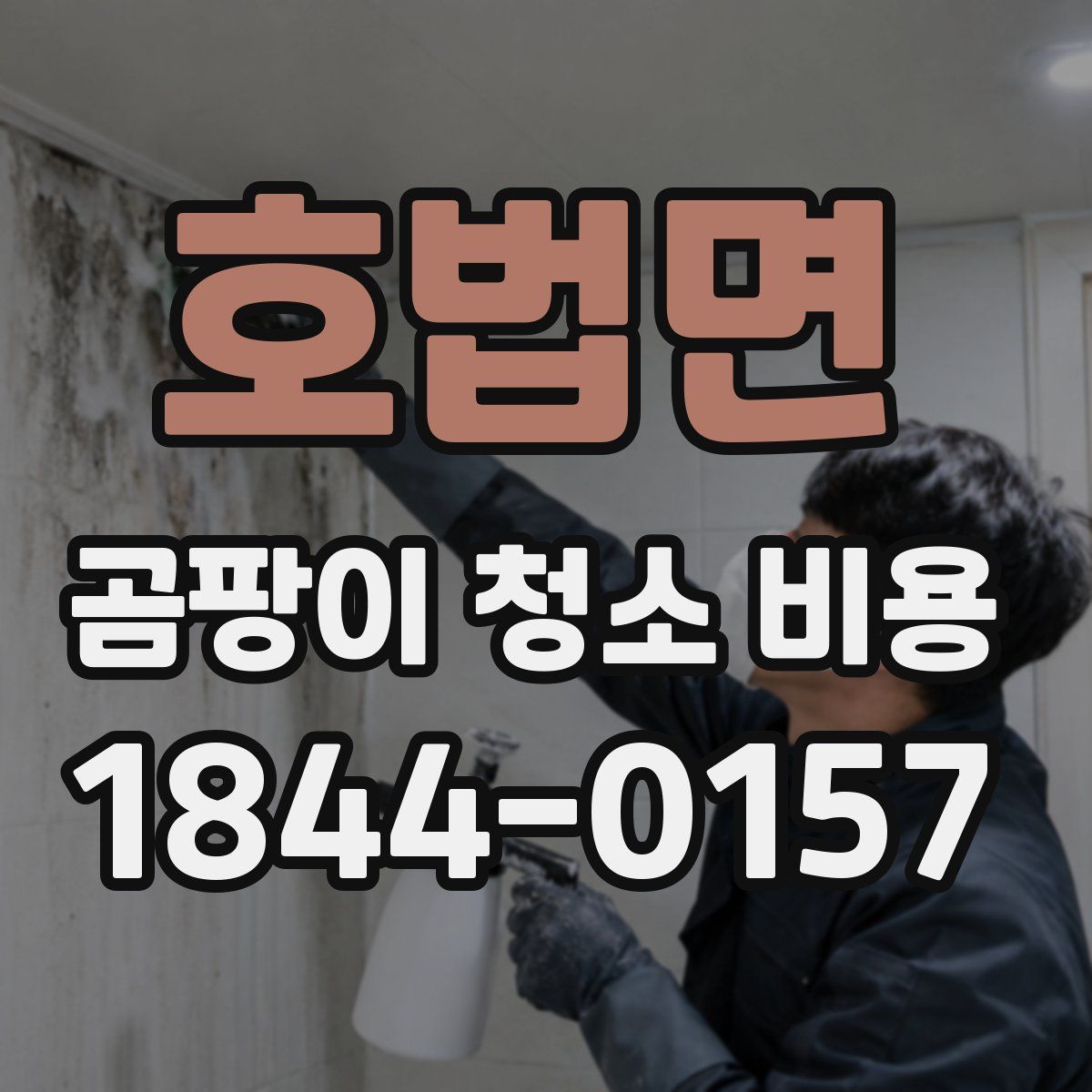 호법면 곰팡이 청소 비용