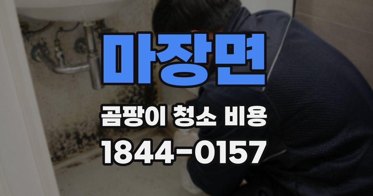 마장면 곰팡이 청소 비용