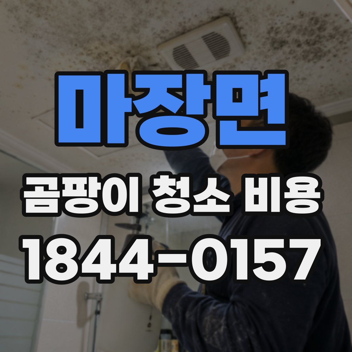 마장면 곰팡이 청소 비용