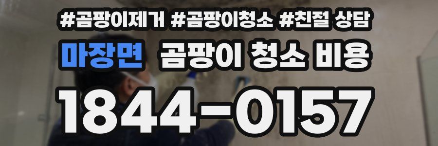 마장면 곰팡이 청소 비용
