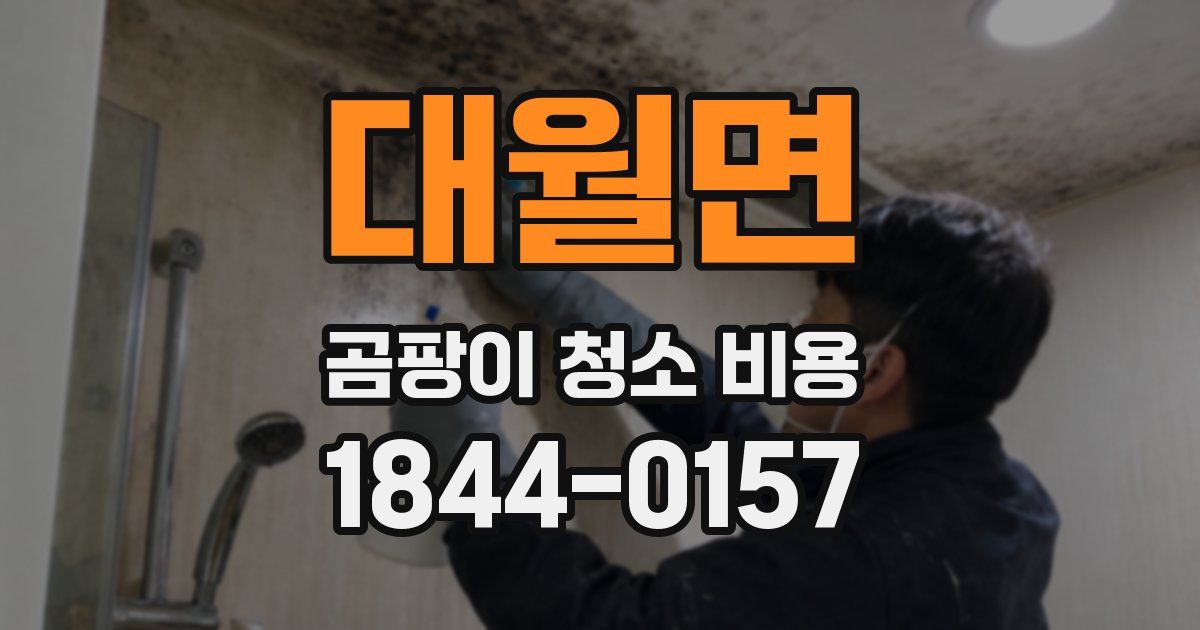 대월면 곰팡이 청소 비용