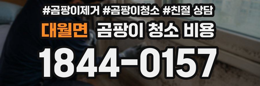 대월면 곰팡이 청소 비용