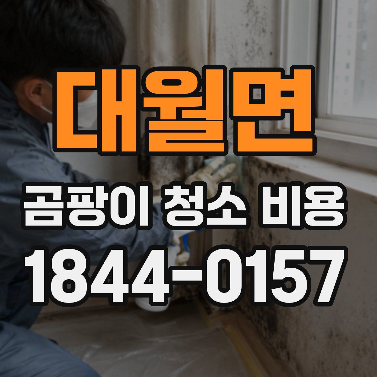 대월면 곰팡이 청소 비용