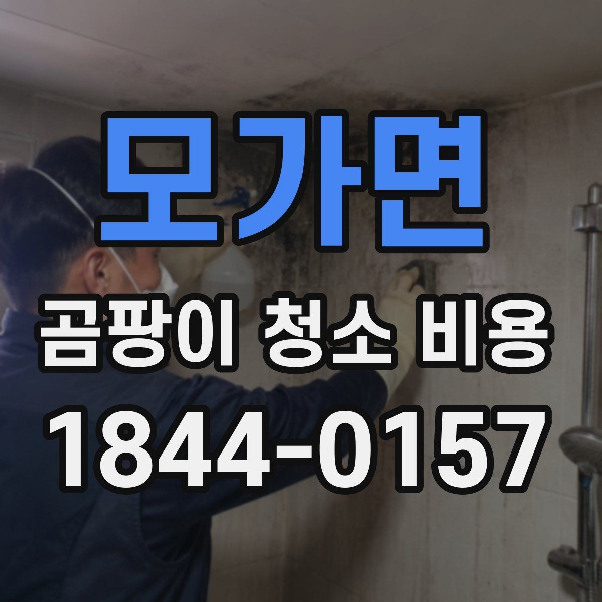 모가면 곰팡이 청소 비용 비교 전에 살펴볼 서비스 범위