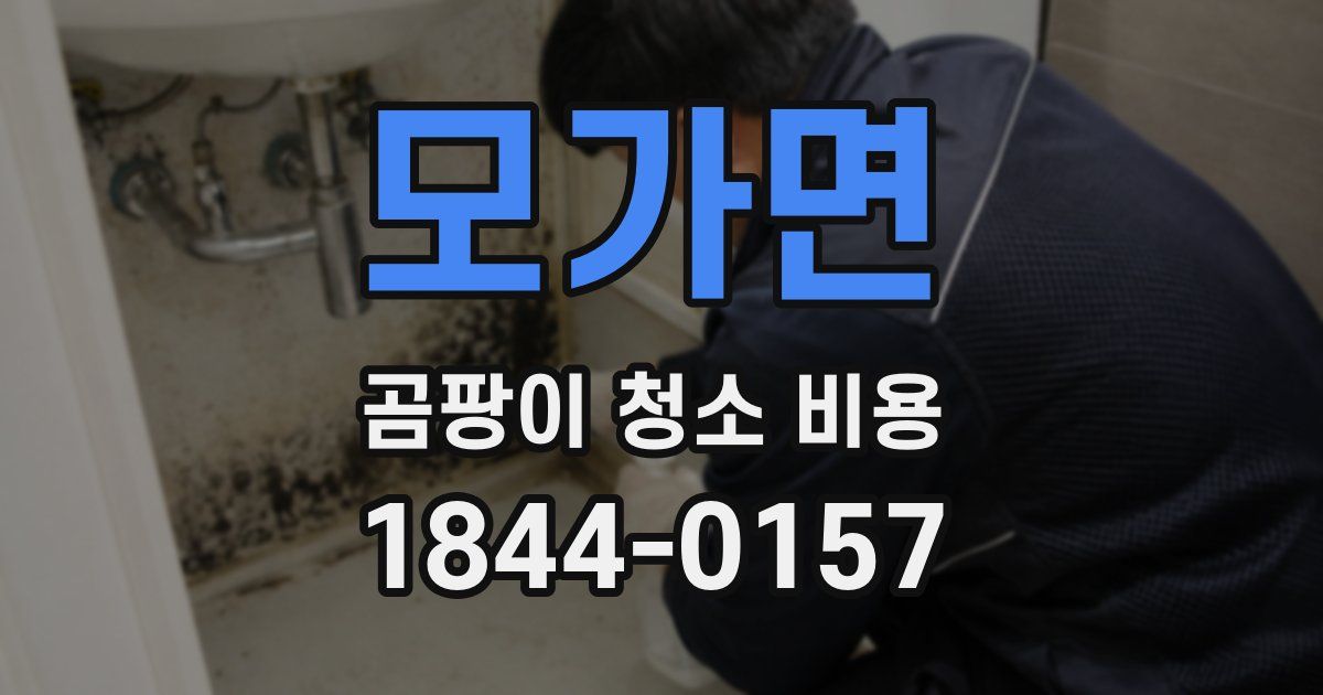 모가면 곰팡이 청소 비용