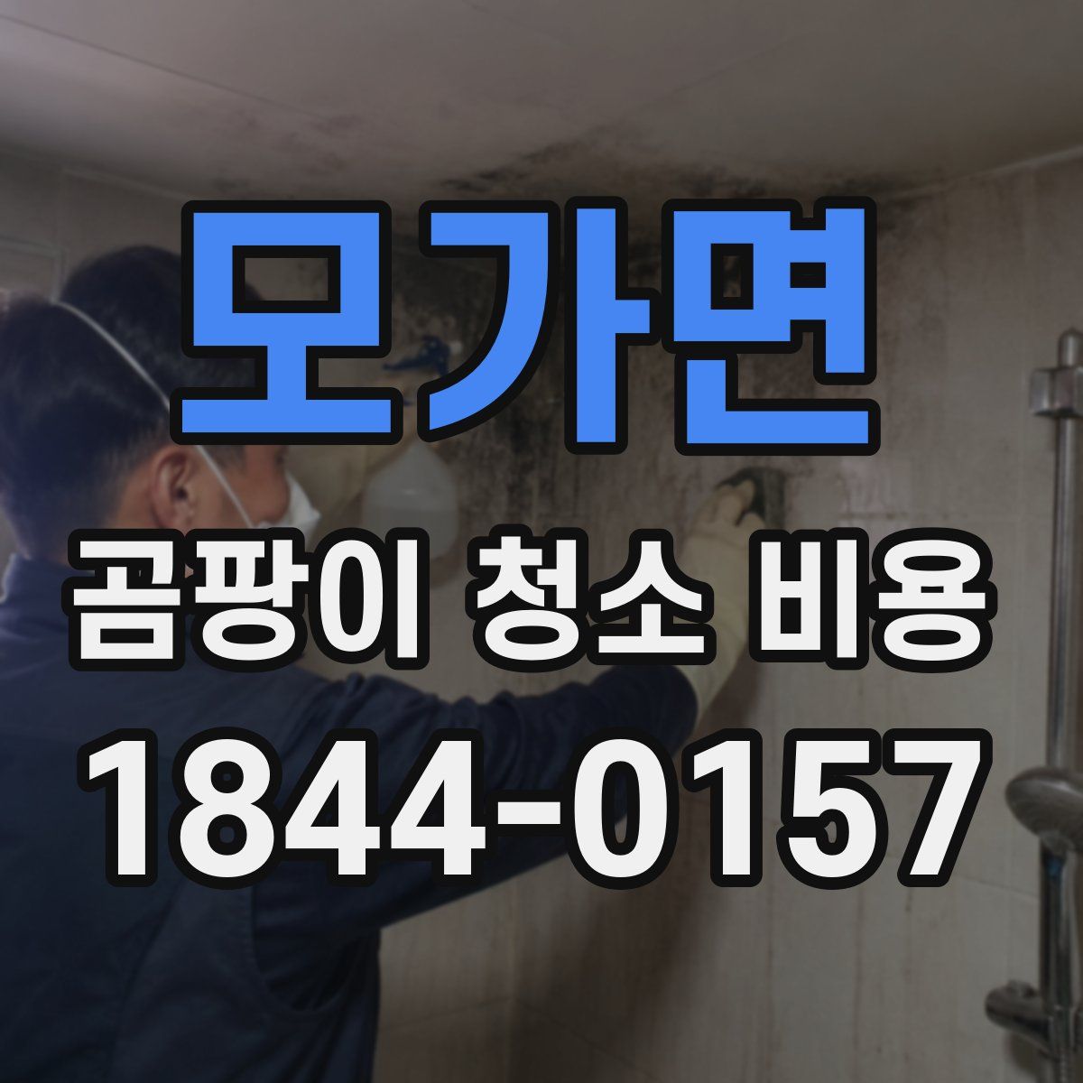 모가면 곰팡이 청소 비용