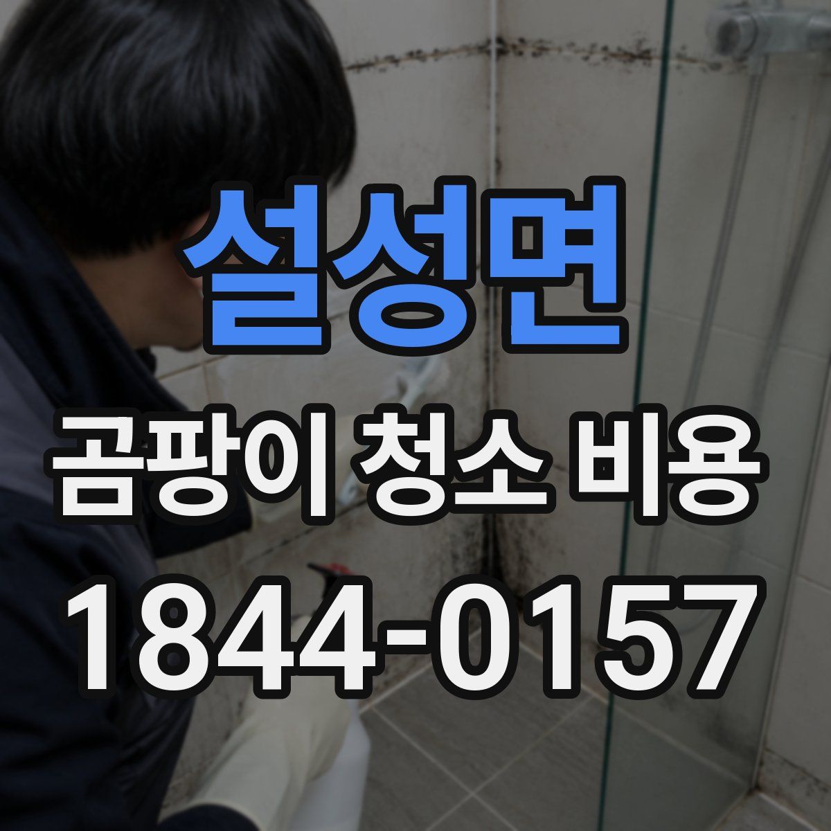 설성면 곰팡이 청소 비용