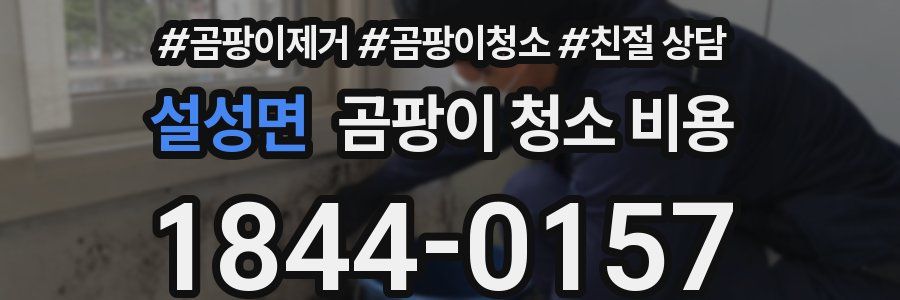 설성면 곰팡이 청소 비용
