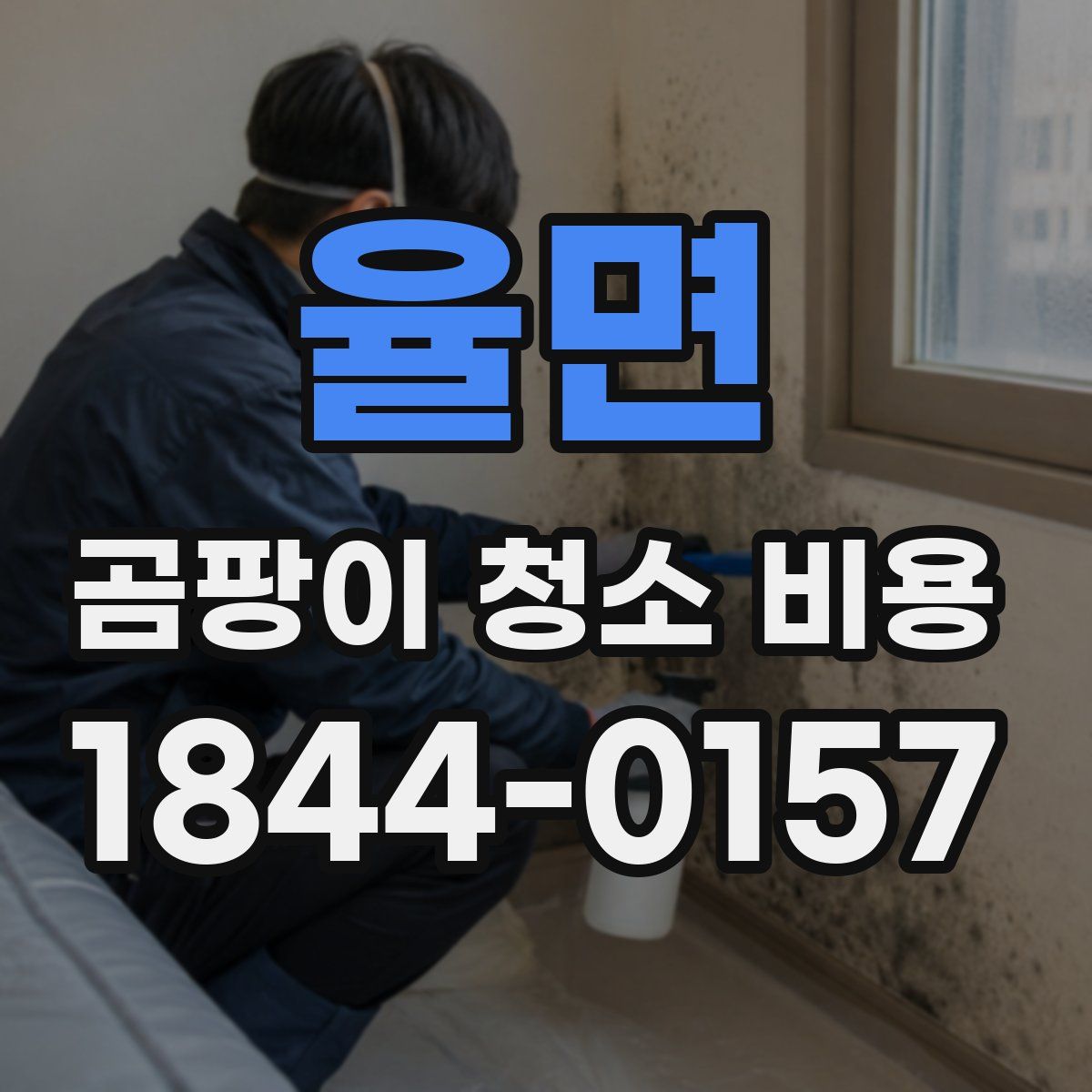 율면 곰팡이 청소 비용