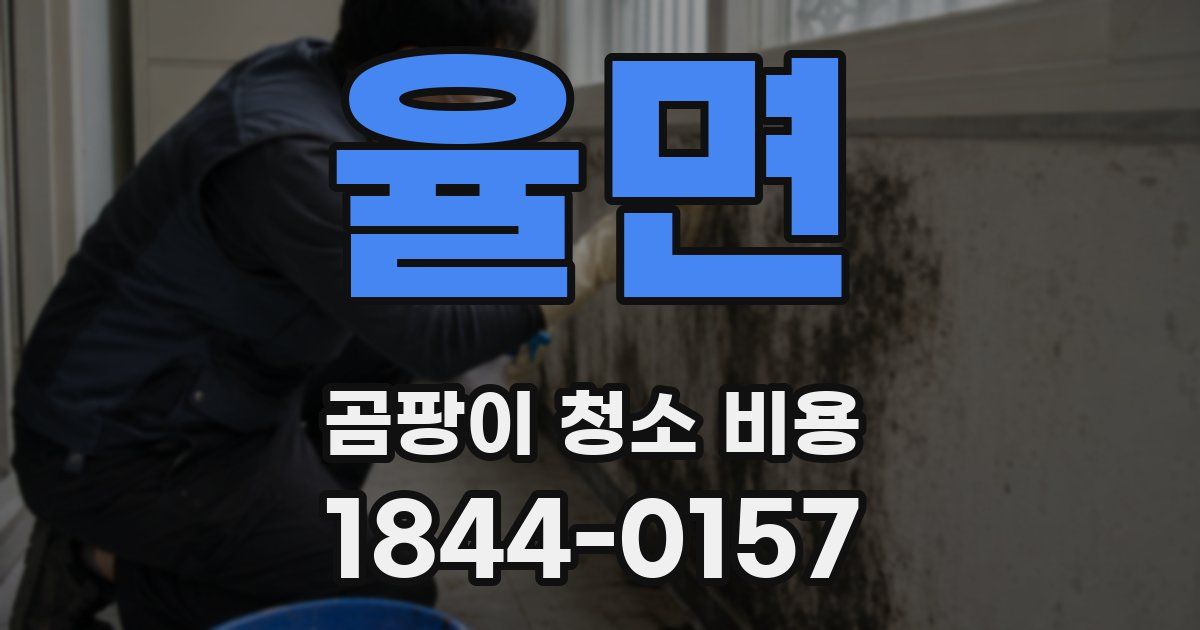율면 곰팡이 청소 비용