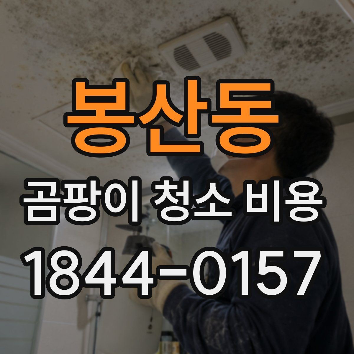 봉산동 곰팡이 청소 비용 비교 시 과다한 항목 피하는 법