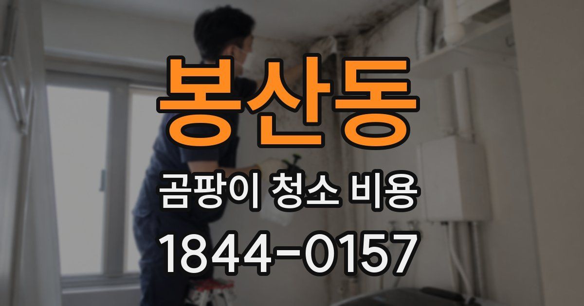 봉산동 곰팡이 청소 비용