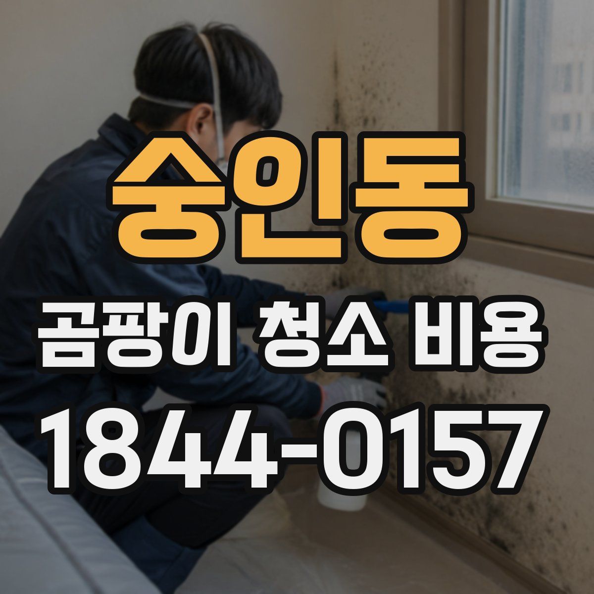 숭인동 곰팡이 청소 비용