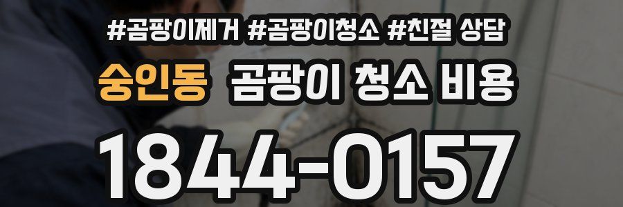 숭인동 곰팡이 청소 비용