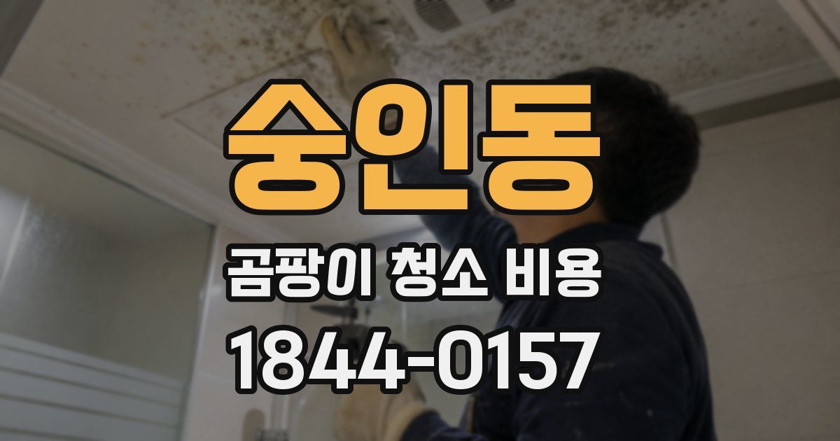 숭인동 곰팡이 청소 비용