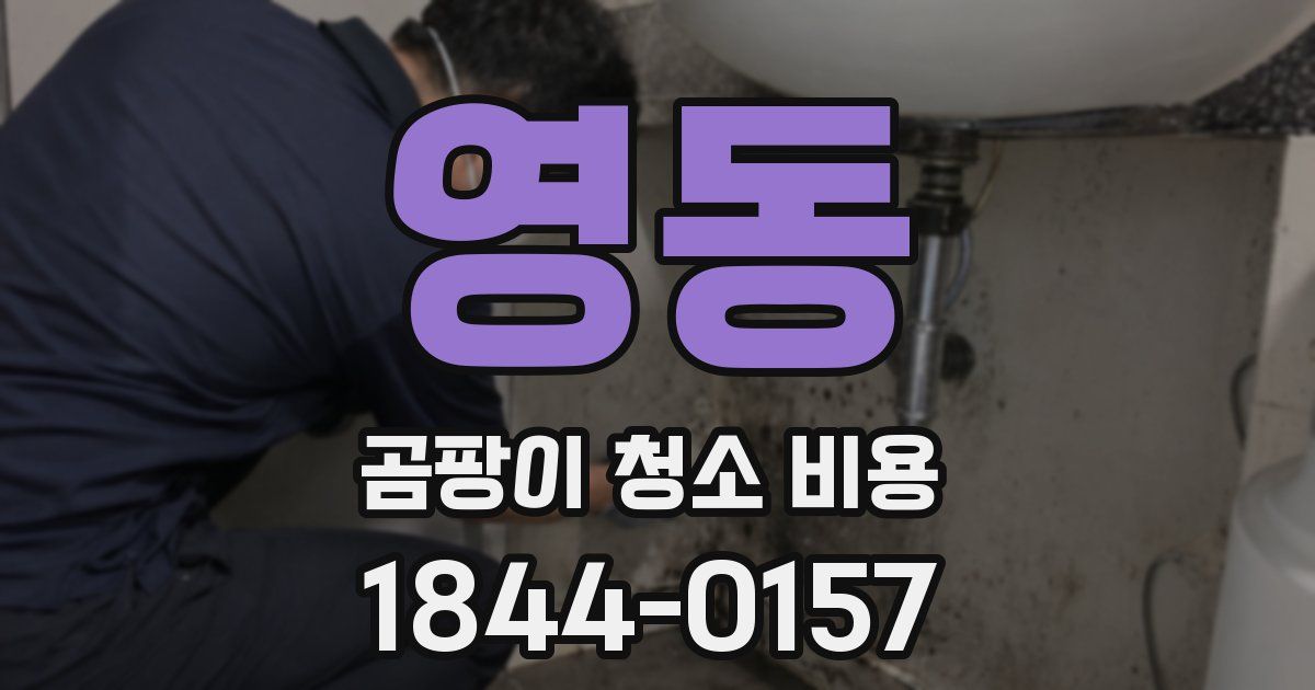 영동 곰팡이 청소 비용