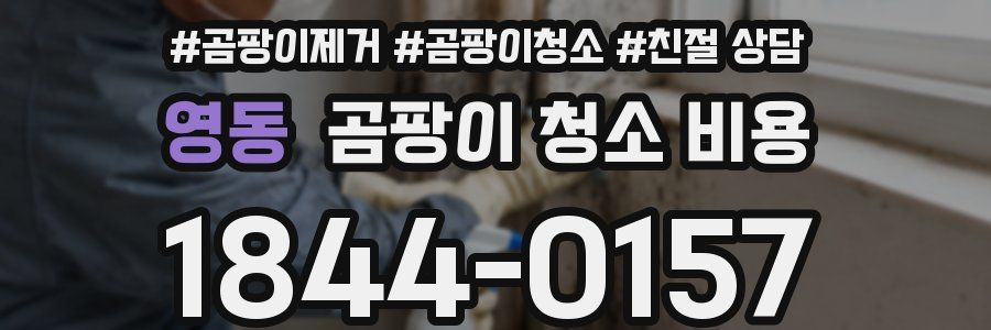 영동 곰팡이 청소 비용