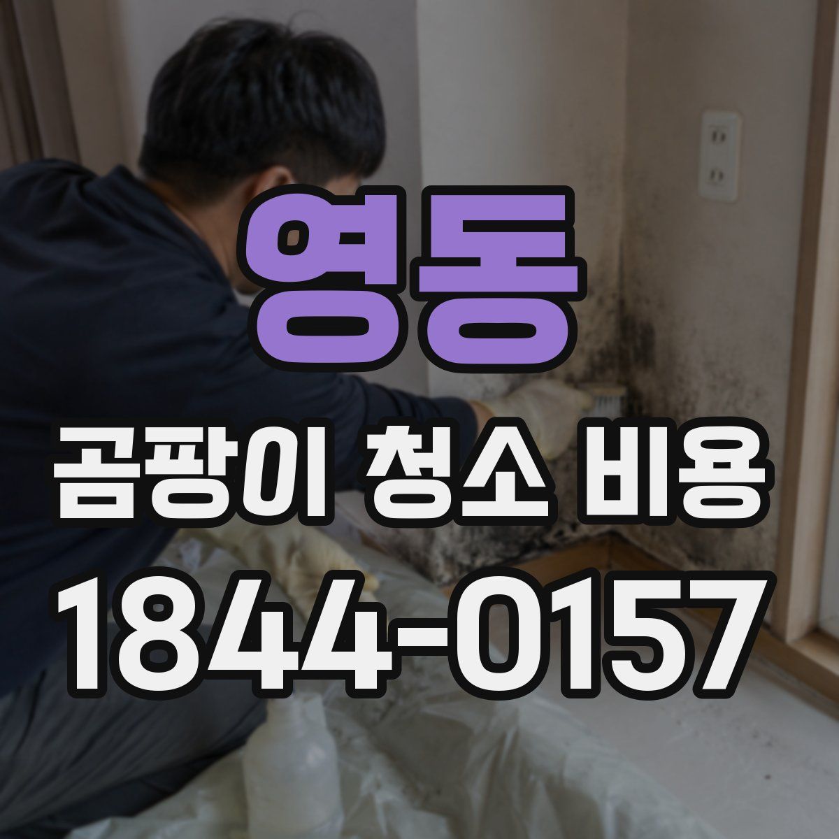영동 곰팡이 청소 비용