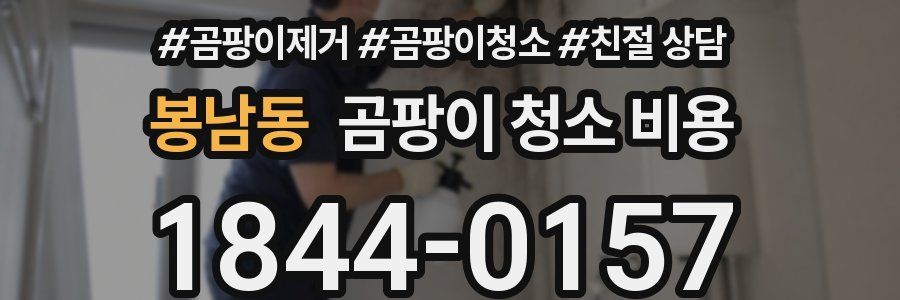 봉남동 곰팡이 청소 비용