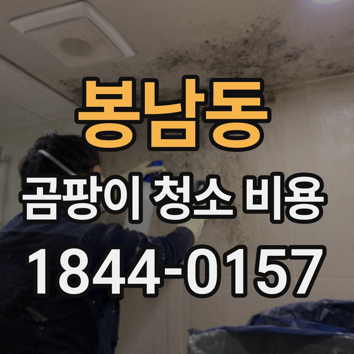 봉남동 곰팡이 청소 비용