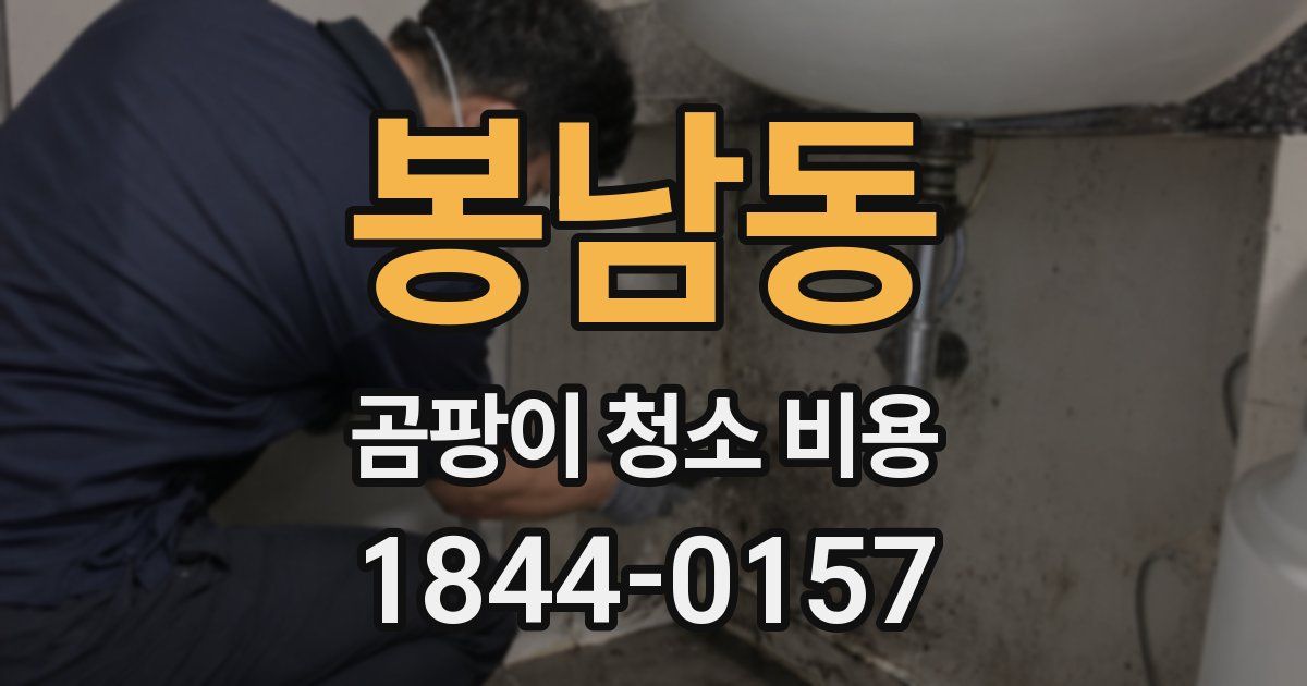 봉남동 곰팡이 청소 비용