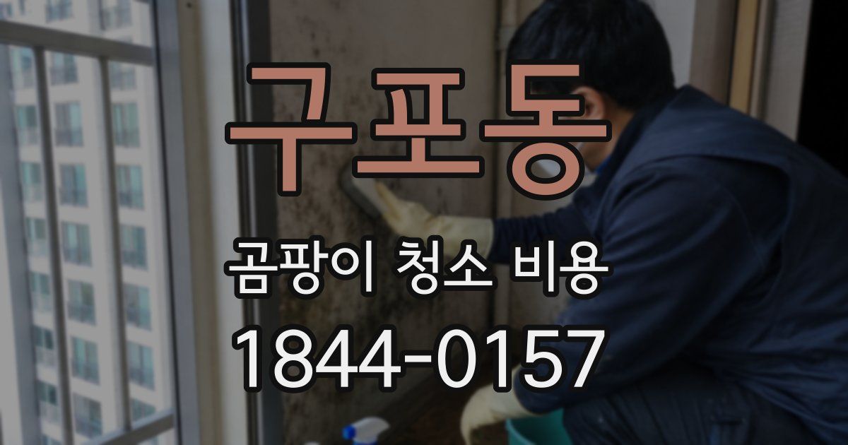 구포동 곰팡이 청소 비용