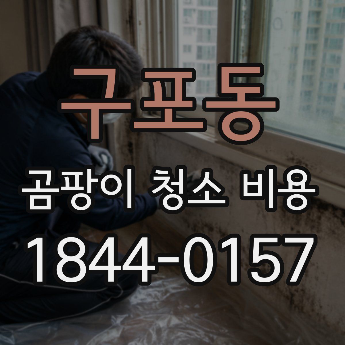 구포동 곰팡이 청소 비용